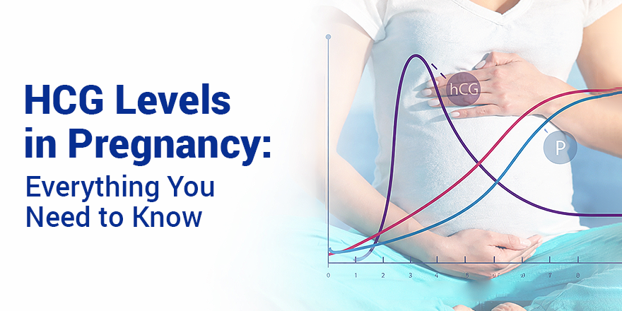 HCG Levels in Pregnancy: Everything You Need to Know